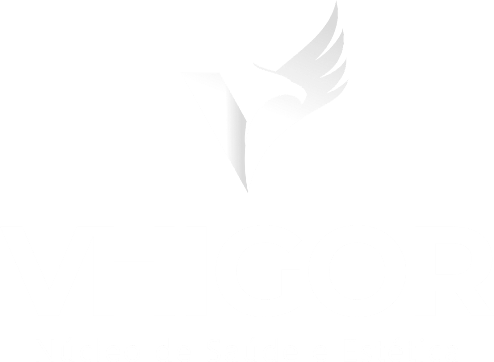 Nucleo Vhigor