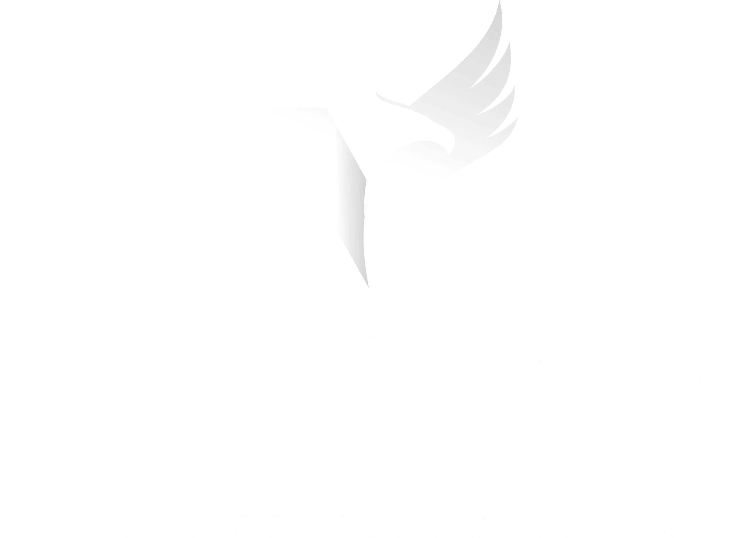 Nucleo Vhigor